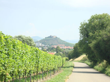 Blick auf den Staufener Schlossberg mit Burgruine