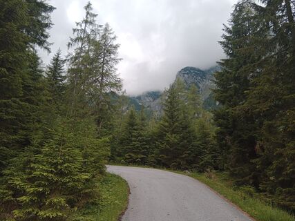 Photo de handshifter le long du parcours