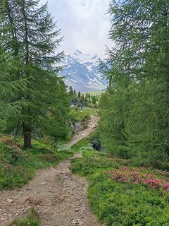 Foto von Adam Akwen entlang der Tour
