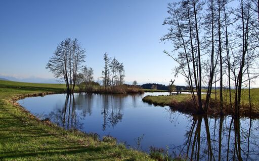 Der Weiher im Frühjahr mit Panoramablick dahinter