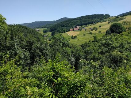 Ausblick vom Heidenbühl auf das Nordrachtal