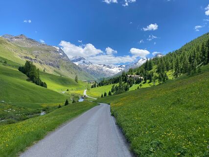 Val Fex