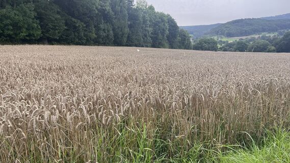 Fotografia z Anita Geißler na trase
