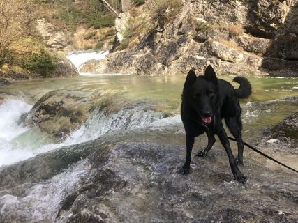Foto von BenHobo entlang der Tour