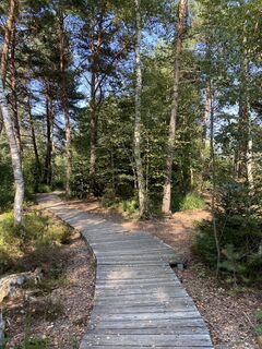 Photo de justasimpleguy le long du parcours
