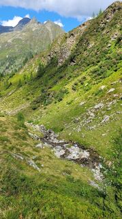 Photo de Juliane Jarke le long du parcours