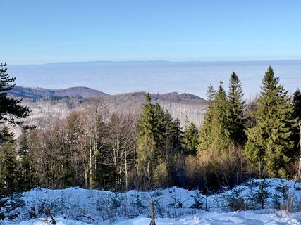 Fotografie z Wiesiek W na trase