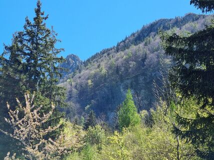 Foto von veroeppensteiner entlang der Tour