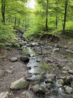 Foto von Lili Bártfai entlang der Tour