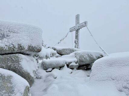 Photo de Dani Geiger / Natur_erleben_dg le long du parcours