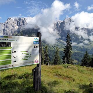 Der Ameisenweg schärft den Blick für das Kleine, der Hochkönig für`s Große.