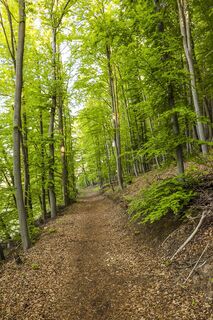 Absteig zum Hundsschleif