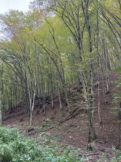 Fotografia z Zoltán Zalánfi na trase