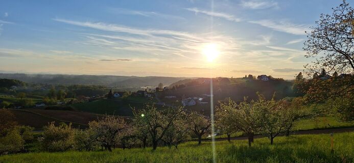 Photo from Barbara Klein 1 along the tour