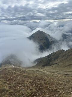 Foto von Carola Krems entlang der Tour