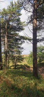 Fotografie de la Erwin Kersten de-a lungul turului