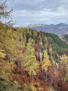 Foto von Monika Raninger entlang der Tour