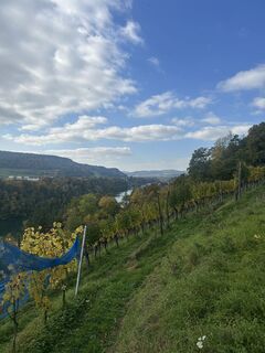 Foto fra Andi Felix undervejs på turen