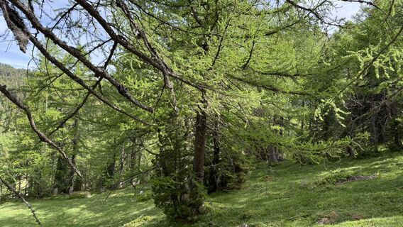 Fotografija s spletne strani Marco Giorcelli na poti