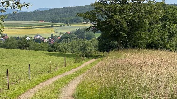RI17 Friedrichswald Route Feldweg