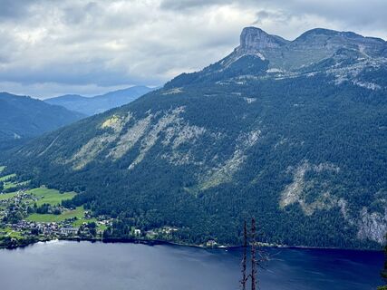 Zdjęcie z CT wzdłuż trasy