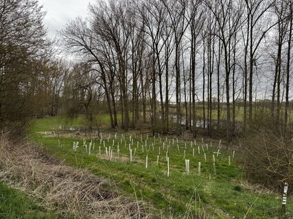 Fotografia z Schaali na trase