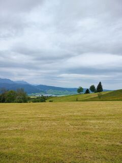 Foto von Niklas Johansen entlang der Tour