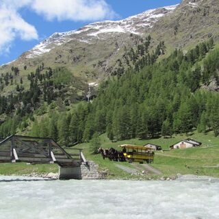 Kutsche im Val Roseg