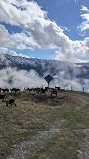Fotografija s spletne strani Martin Glaser na poti