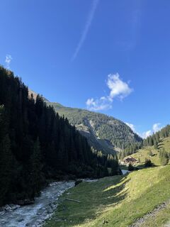 Blick auf die Berndlalm auf dem Rüchweg