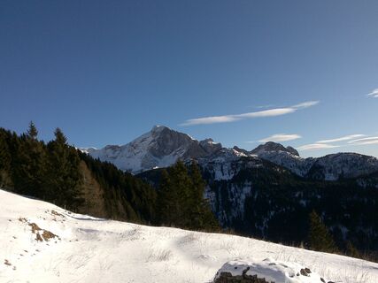 Blaustein 