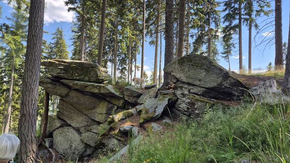 Fotografija s spletne strani Claudia Maurer na poti