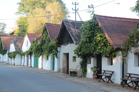 Kellergasse Hadres