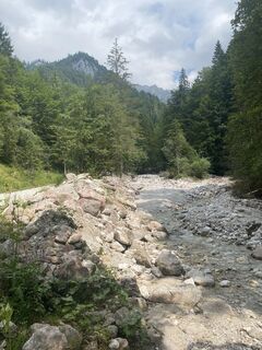 Fotografia z Corina Manuela Motisan na trase