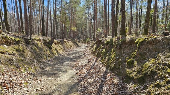 7.4 km Hohlweg an der Gemeindegrenze