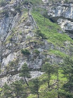 Foto von Lisa Stelzer entlang der Tour