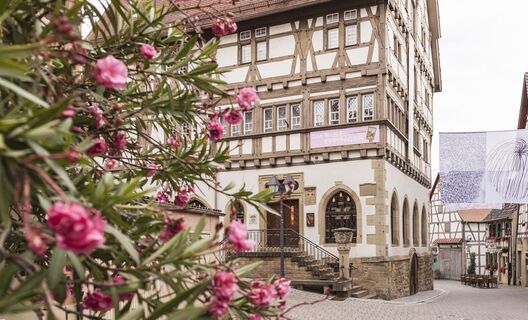 Museum "Alte Universität" | Stadt Eppingen | HeilbronnerLand
