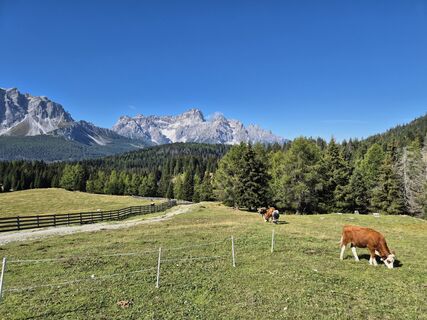 Foto von Coma entlang der Tour