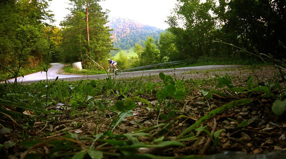 Es ist nicht alles gerade