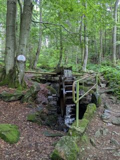 Photo from Jeannette Mo along the tour