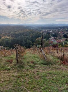 Photo de Renate Wanderhexe le long du parcours