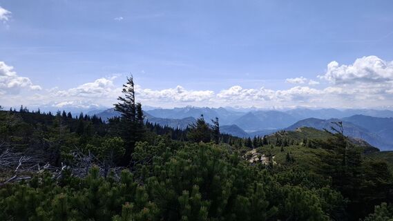 Foto von Roger Wilco entlang der Tour