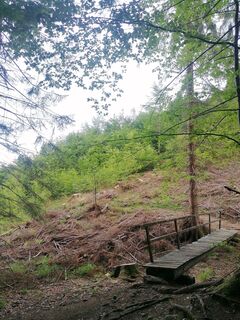 Photo de Sonce.S le long du parcours