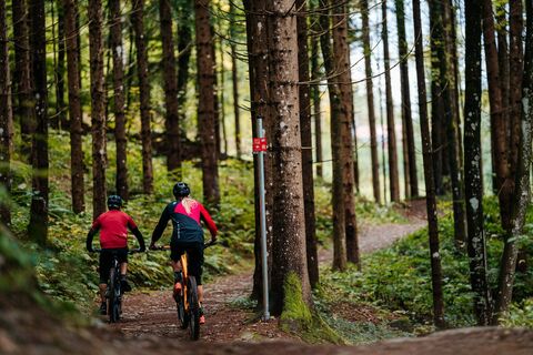 Toghy Trail T02 Ossiach