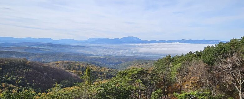 Fotografie z Tanjasusanna na trase