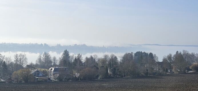 Photo de garrincha le long du parcours