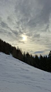 Foto von Mangolein entlang der Tour