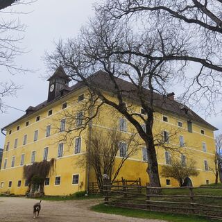 Fotografia z Sonja Enzenhofer na trase