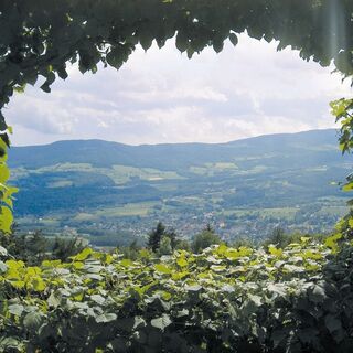 Themengärten Pöllauberg, Zimmer mit Aussicht in der Oststeiermark