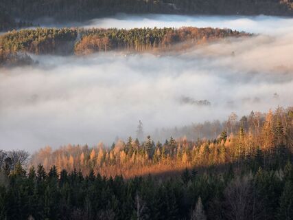 Fotografia z TwilightTea na trase
